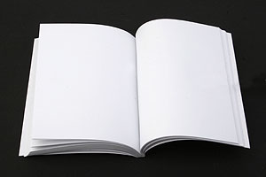 Книга «О чём мужчины думают помимо секса» состоит из двухсот пустых страниц